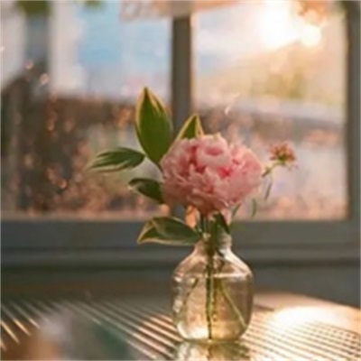 简单的花草微信头像(精选36张)