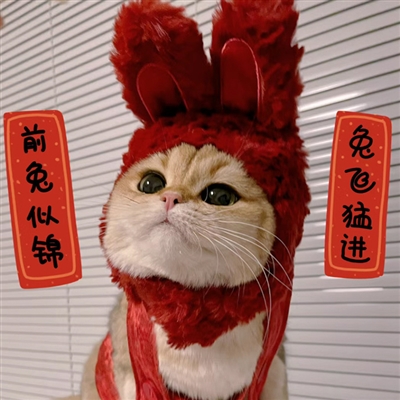 超级可爱的新年头像(34张)