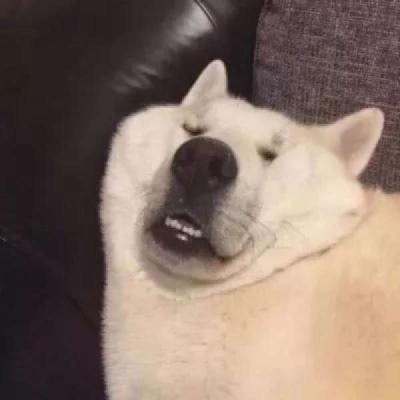 抖音沙雕情头一左一右(精选24张)