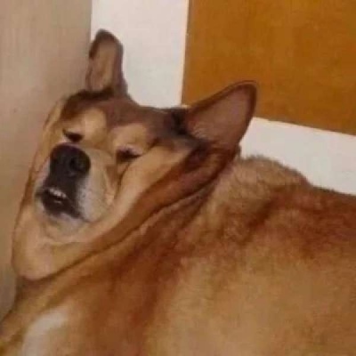 抖音沙雕情头一左一右(精选24张)