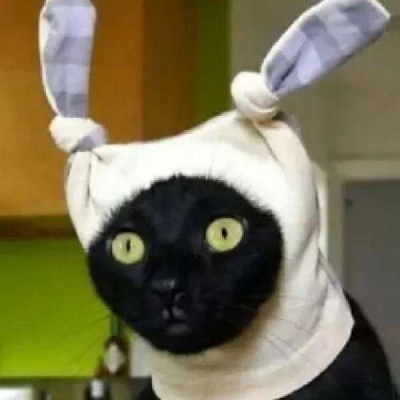 抖音沙雕情头一左一右(精选24张)