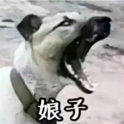 高清搞怪情侣头像(24张)