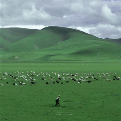 2023年高端有品位的微信头像(精选22张)