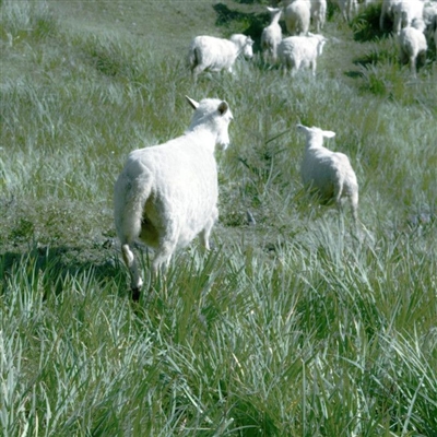 2023年高端有品位的微信头像(精选22张)