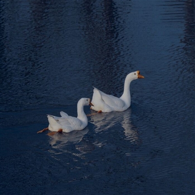 2023年高端有品位的微信头像(精选22张)