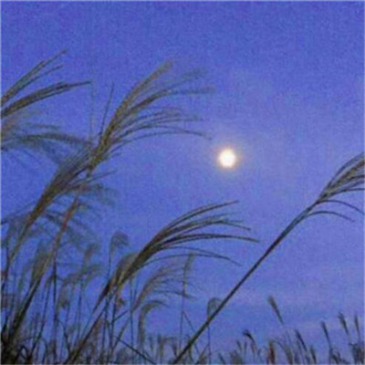 微信头像图片2023最新款打工人(24张)