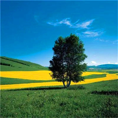 微信头像图片2023最新款打工人(24张)