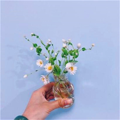 2023格局大气的微信图片(24张)