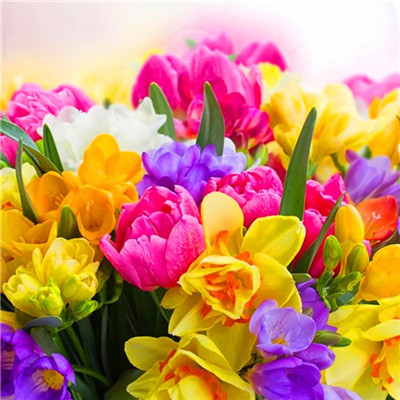 2023格局大气的微信图片(24张)