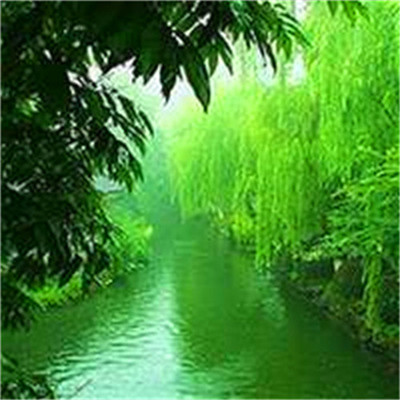 2023格局大气的微信图片(24张)