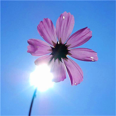 2023格局大气的微信图片(24张)