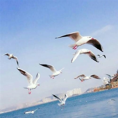 微信头像图片最新款2023(精选30张)