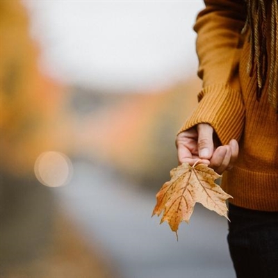 微信头像图片最新款2023(精选30张)