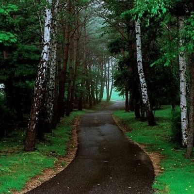 2023新款好看的头像风景(24张)