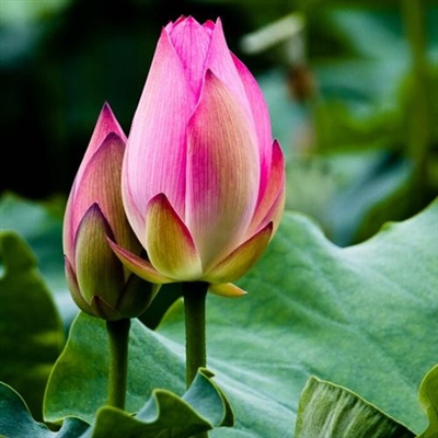 2023新款好看的头像风景(24张)