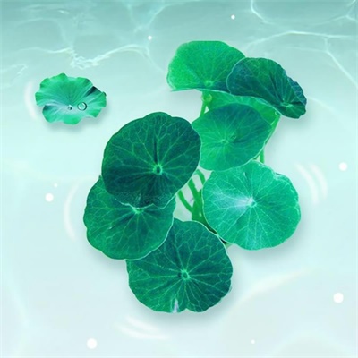 能带来幸运招财头像女(精选20张)