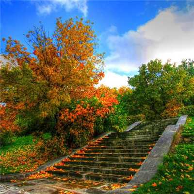 女人招财的微信头像图片高清(精选20张)