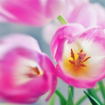 女人招财的微信头像图片高清(精选20张)