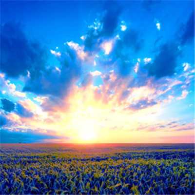 女人招财的微信头像图片高清(精选20张)