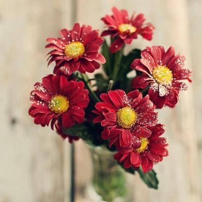 风景带花的微信头像图片大全(精选24张)