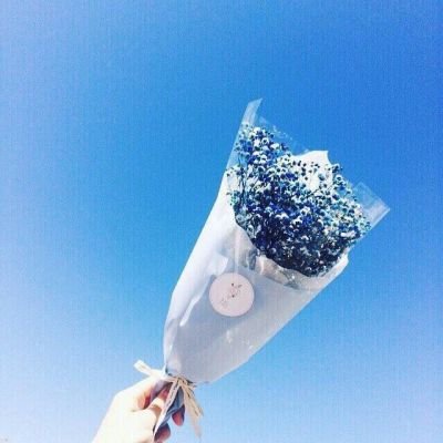 风景带花的微信头像图片大全(精选24张)