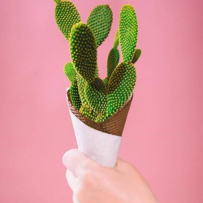 风景带花的微信头像图片大全(精选24张)