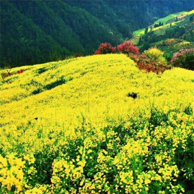 高清唯美的旅游爱好者的头像图片(22张)