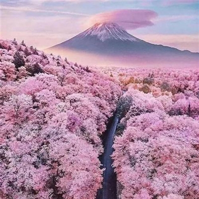 高清唯美的旅游爱好者的头像图片(22张)