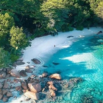 高清唯美的旅游爱好者的头像图片(22张)