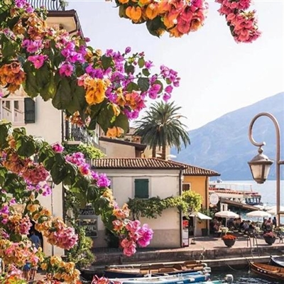 高清唯美的旅游爱好者的头像图片(22张)