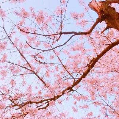 四十岁女人淡雅气质头像(24张)