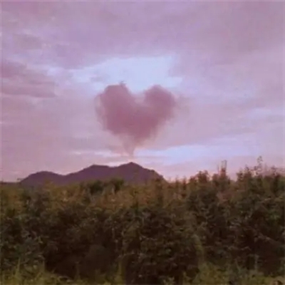 四十岁女人淡雅气质头像(24张)