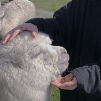 真人情侣头像图片2023年最新头像(精选28张)