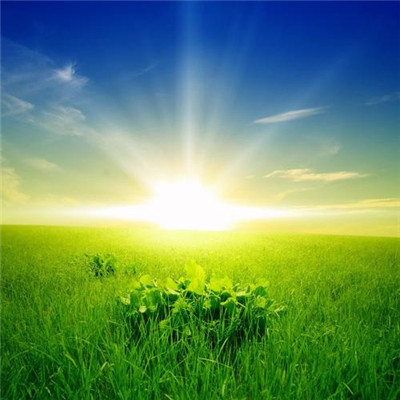 2023年头像图片大全免费(精选24张)