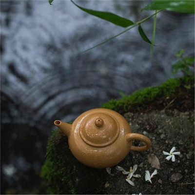 2023年最漂亮的图片头像(34张)