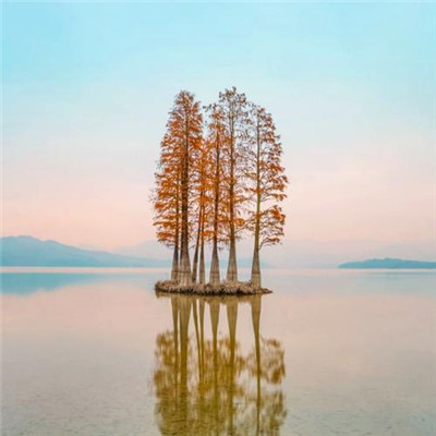 2023年最漂亮的图片头像(34张)