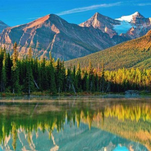 最有财气的微信头像(精选18张)