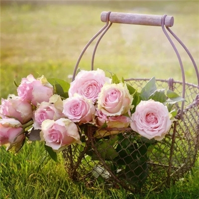 头像2023年的新头像好看图片(18张)