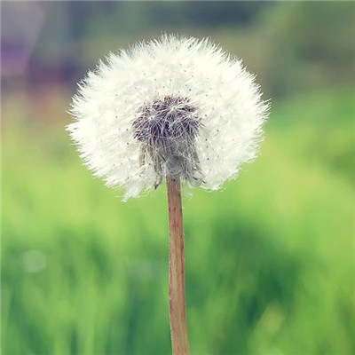 给人一种阳光的头像(精选24张)