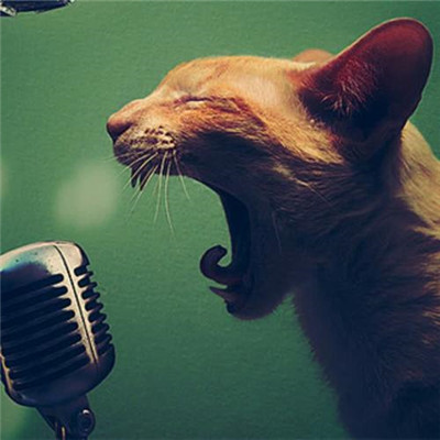 适合唱歌的头像(22张)