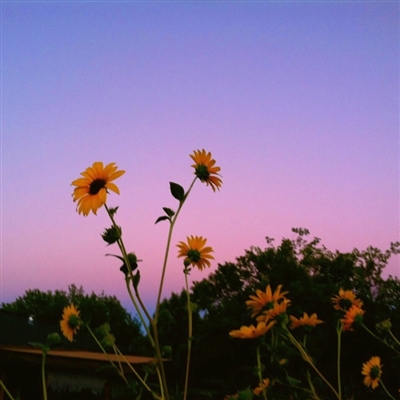 高清风景人物头像(22张)