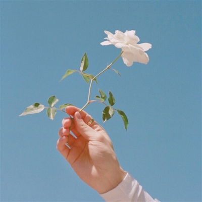 高清风景人物头像(22张)