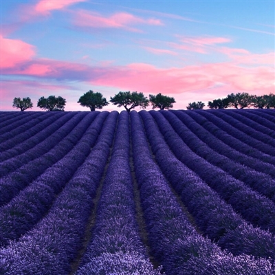 吉祥风景图片微信头像(精选22张)