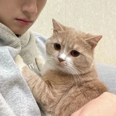 真人相亲相爱情侣头像(22张)