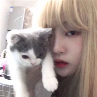 美女抱着宠物的图片头像大全(精选24张)