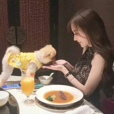 美女抱着宠物的图片头像大全(精选24张)