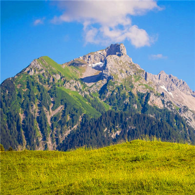 最健康吉利的微信头像(24张)