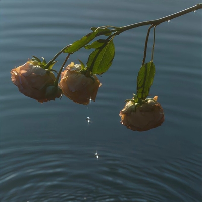 背景头像图片2023最火爆(26张)