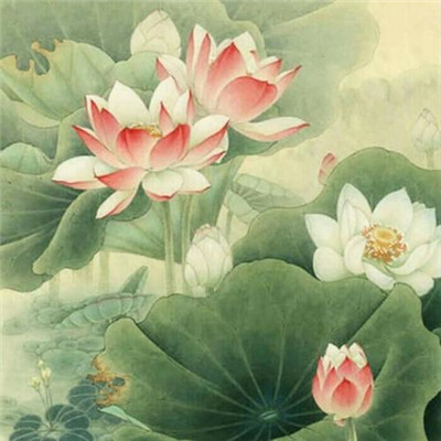 修道之人用的微信头像(精选34张)