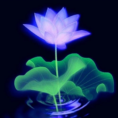 静心修心的微信头像(精选30张)